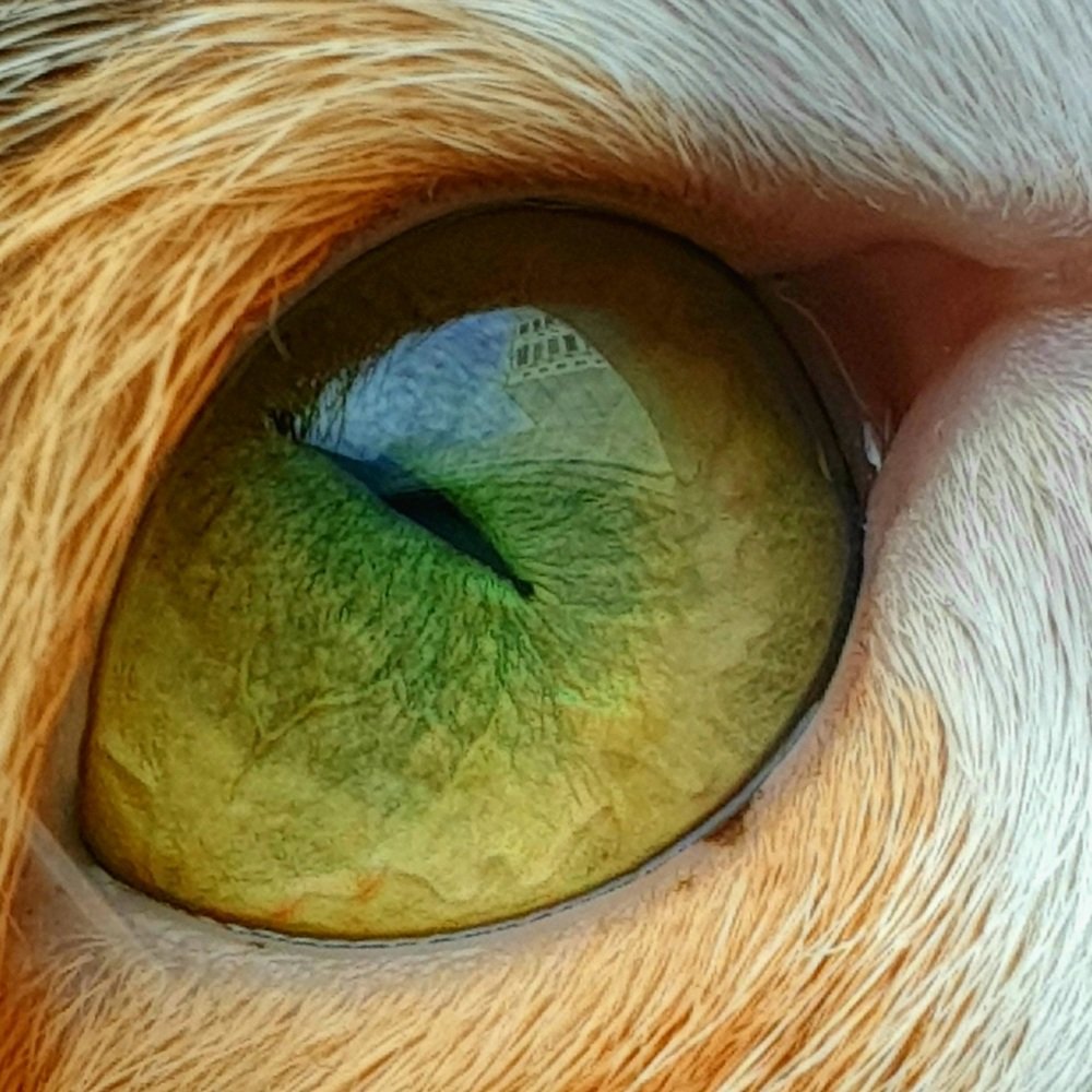 Photograph by Александр Молоцило