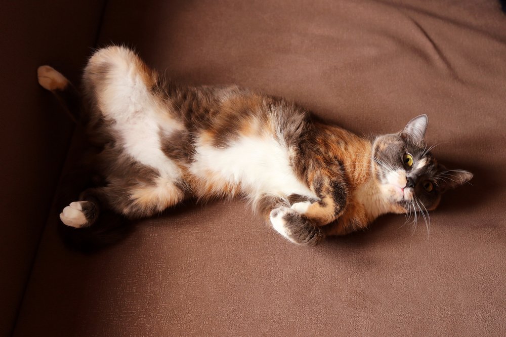 Photograph by Мария Каммерт