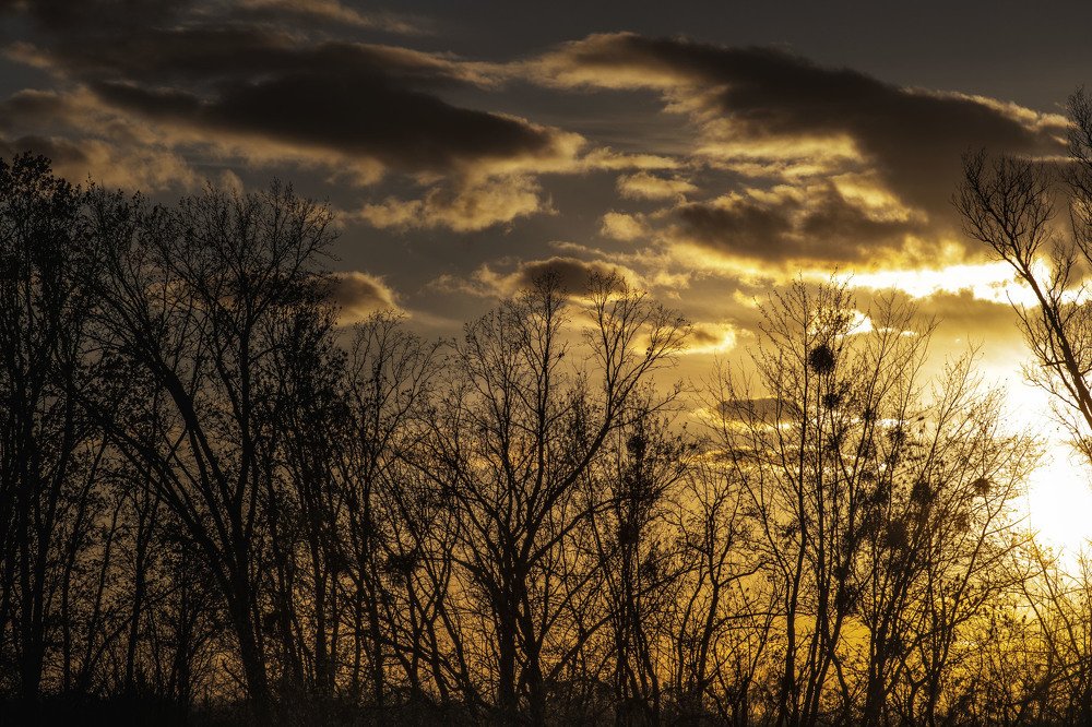 Photograph by Anke Sark