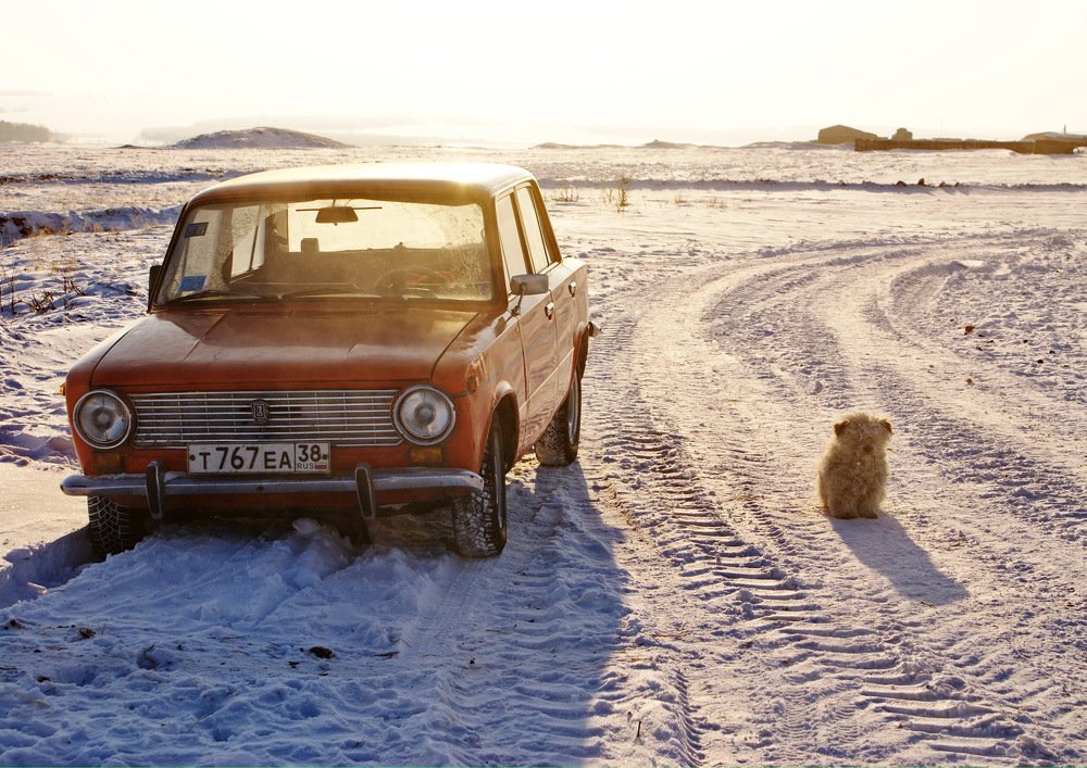 Photo #5287550