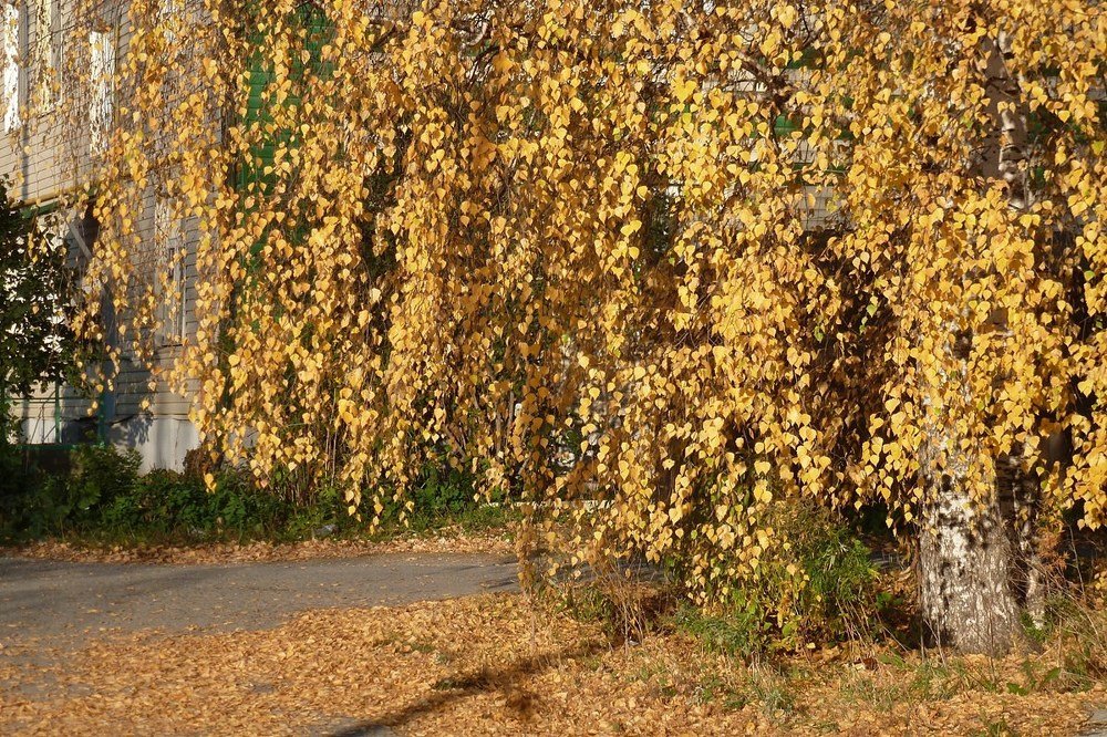 Photograph by Владислав Завальнюк