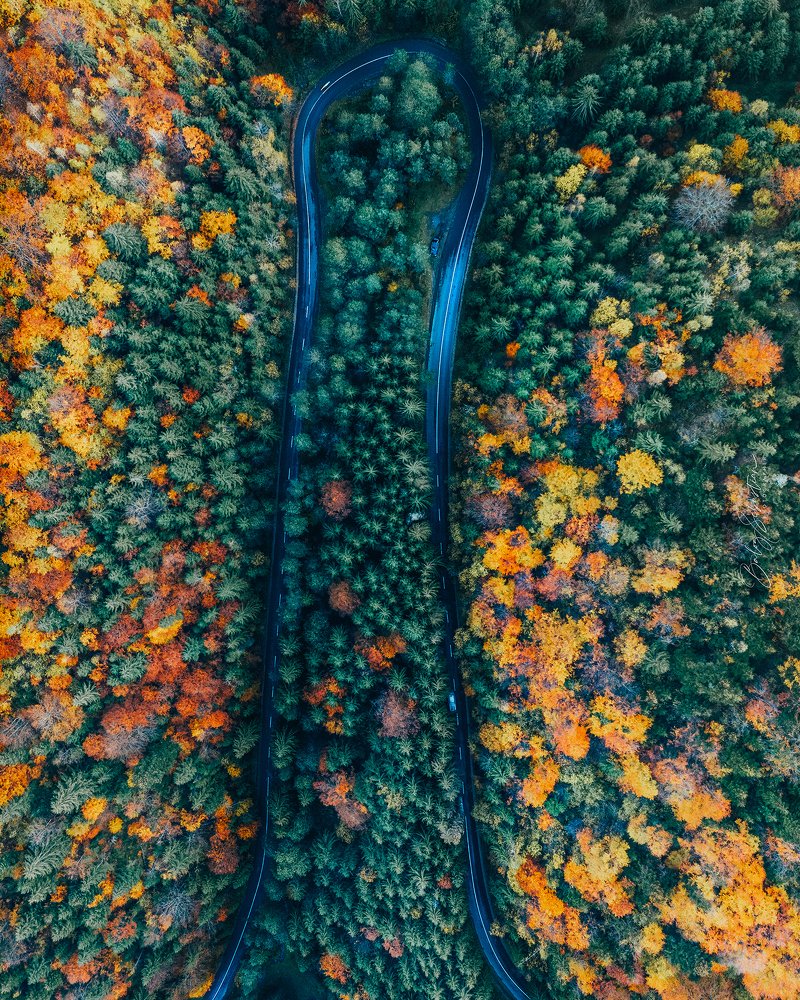 Photograph by Balog Francisc Sebastian