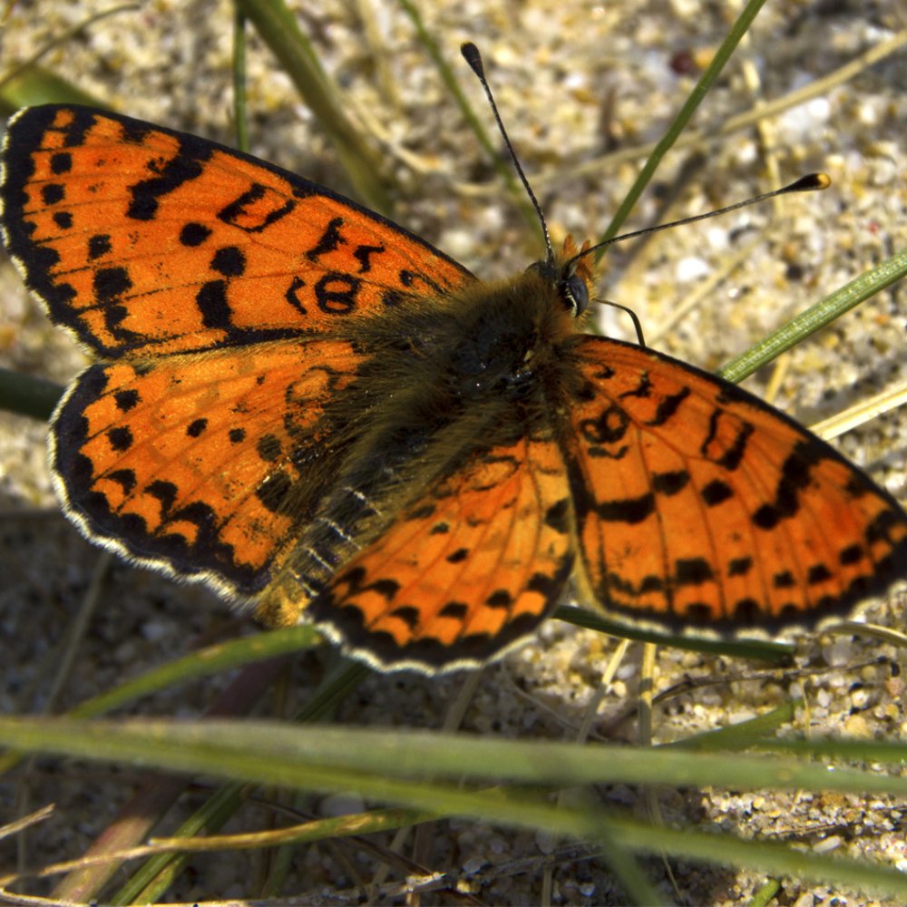 Photograph by Наталия Клишина