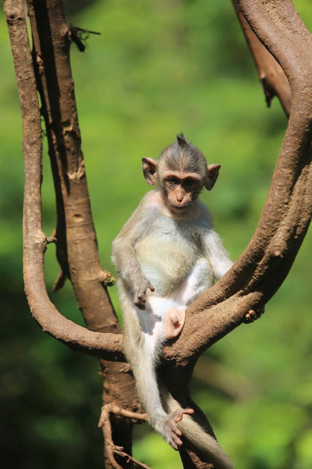 Photo #5287579