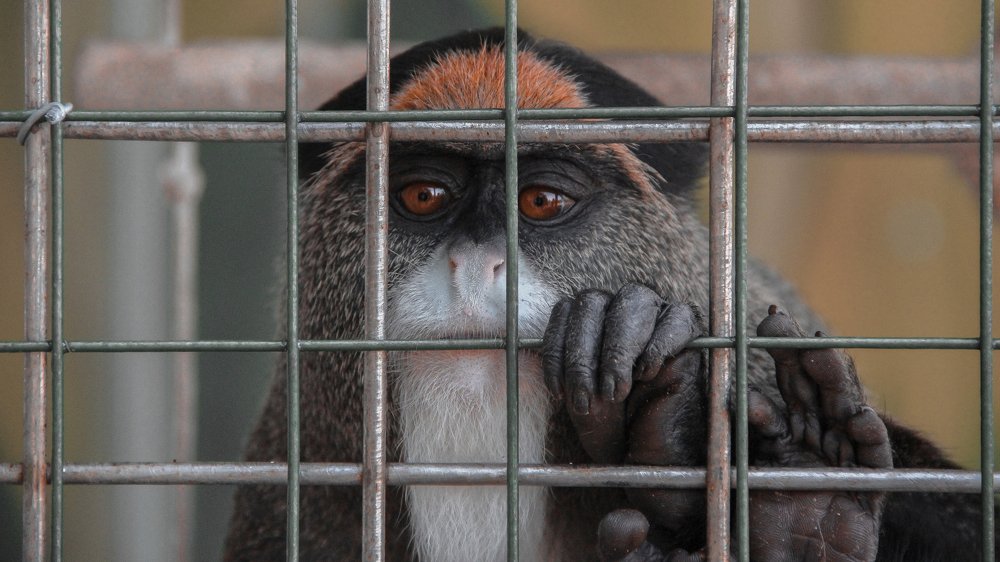 Photograph by Аверьянова Алена