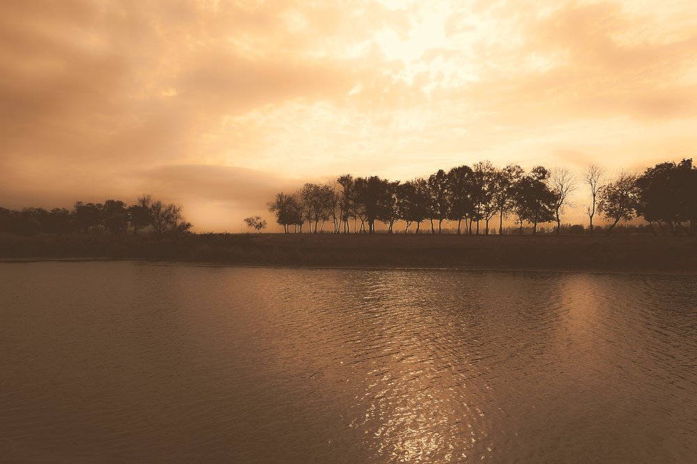 Photograph by Владимир Коротких