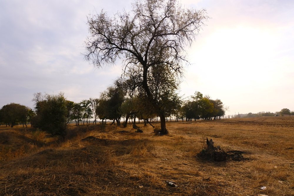 Photograph by Владимир Коротких