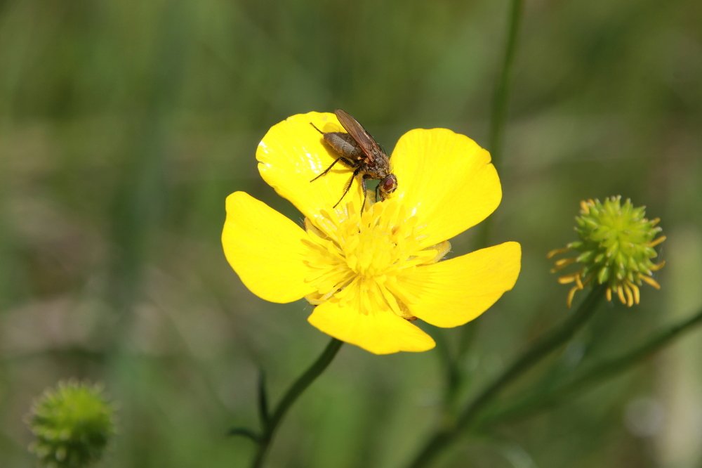 Photograph by Наталия Клишина