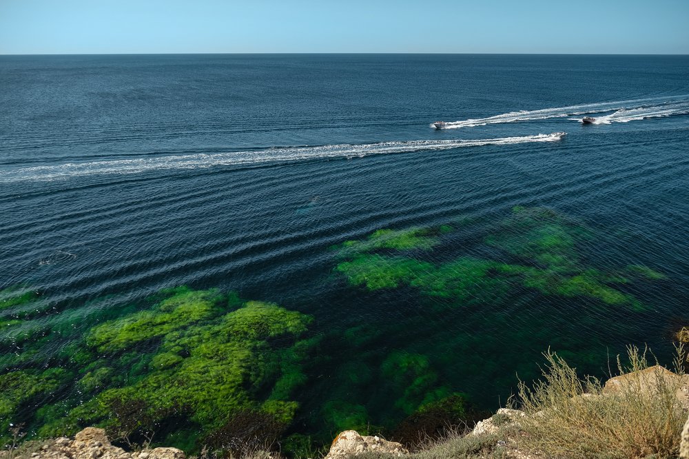 Фотография автора Марина Савчиц