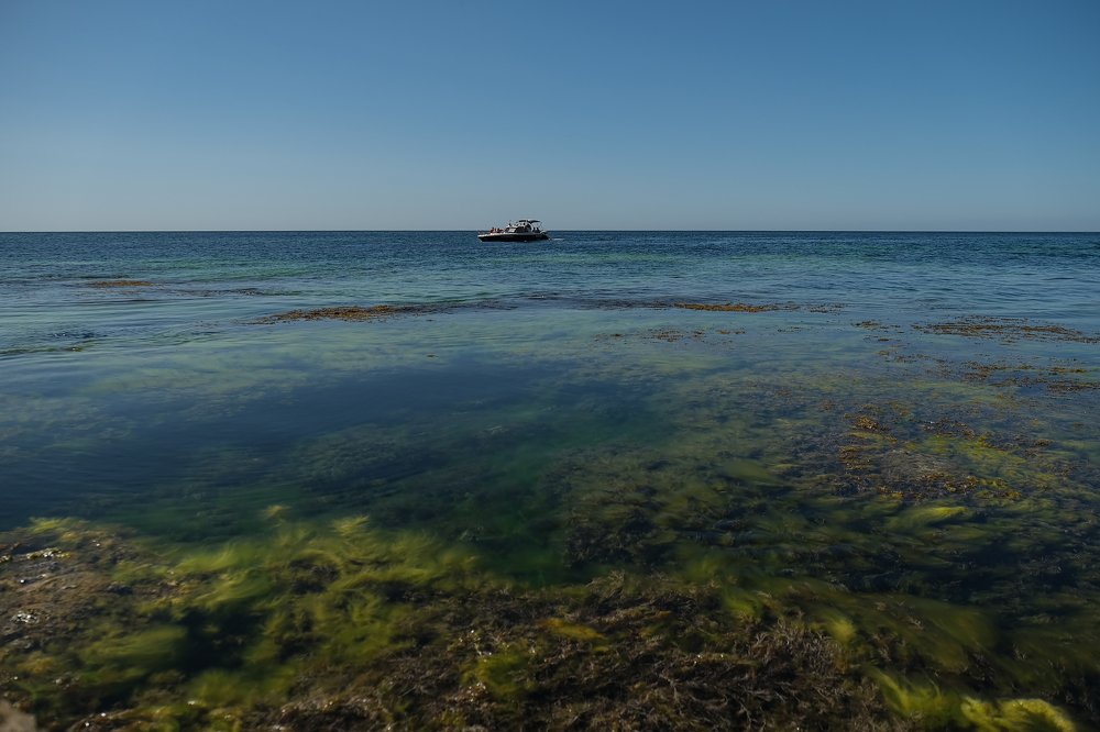 Фотография автора Марина Савчиц