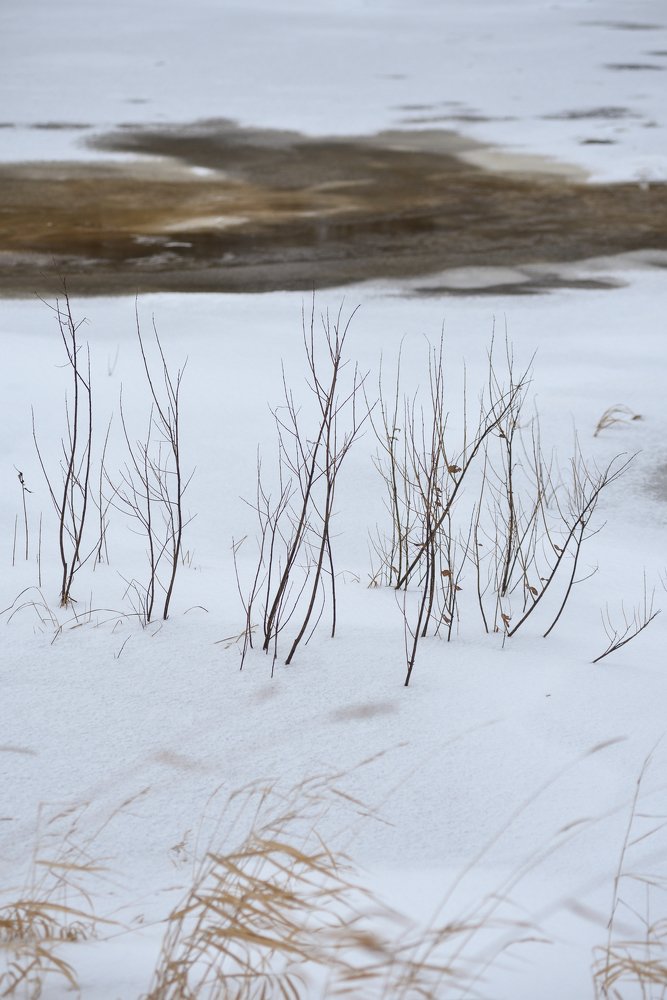 Photograph by Григорий Пиль