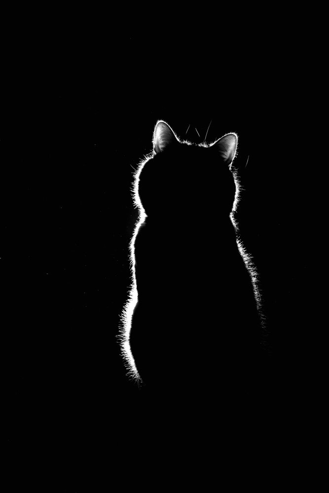 Photograph by Ольга Шацкая