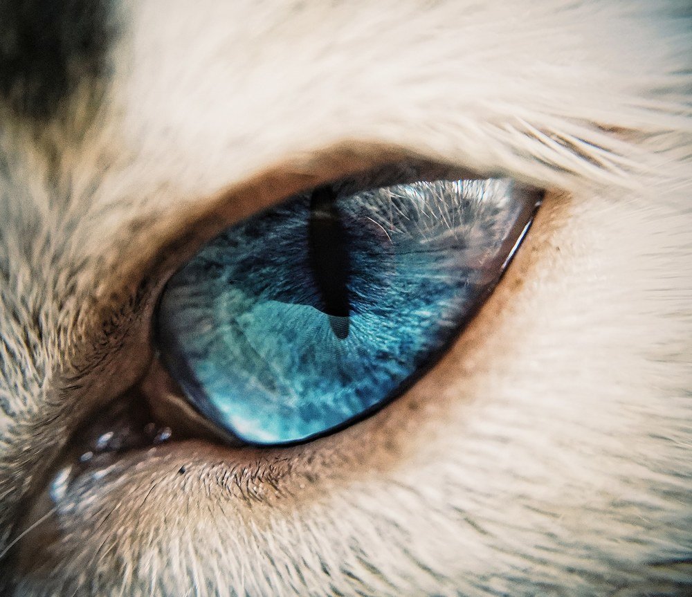 Photograph by Ольга Мажарук