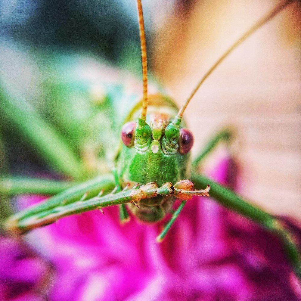 Photograph by Ольга Мажарук