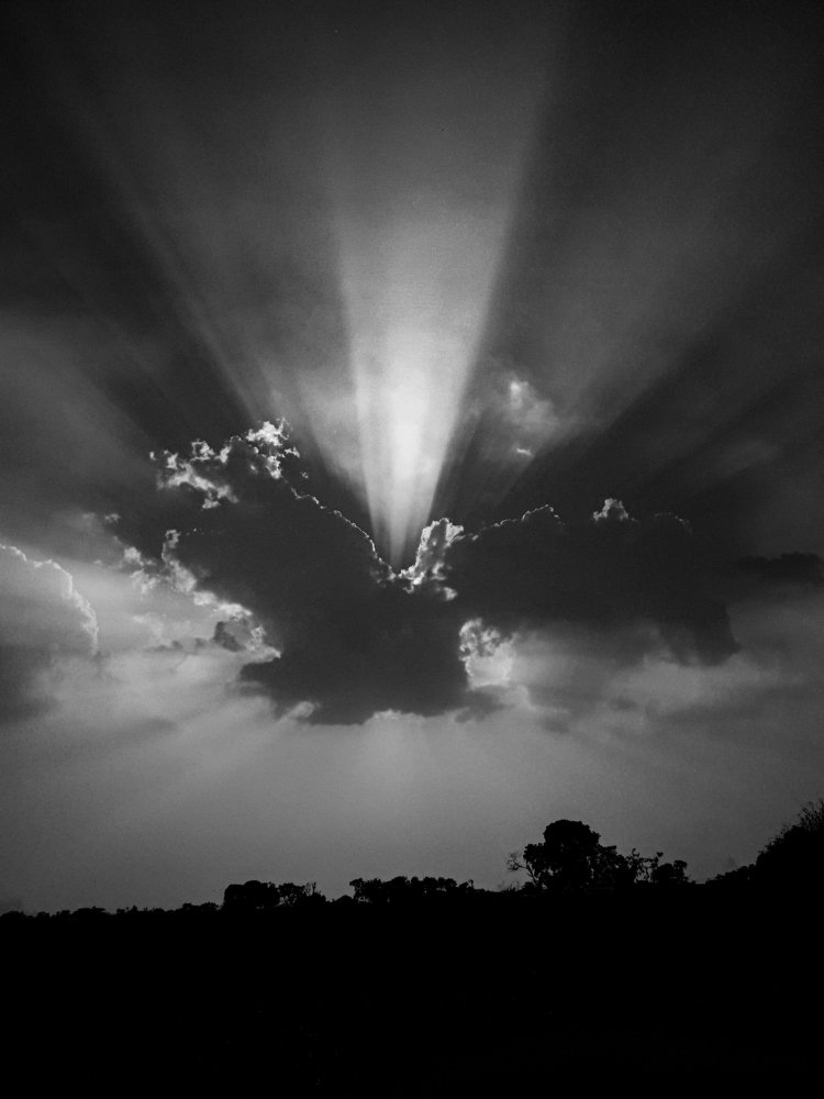 Rays