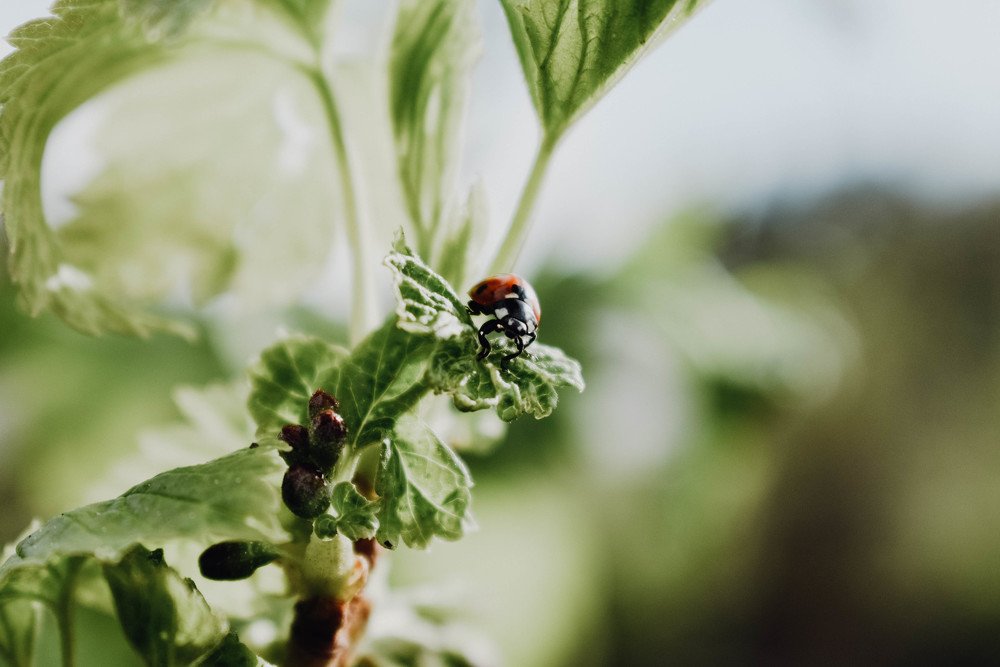 Photograph by Артём Куликов