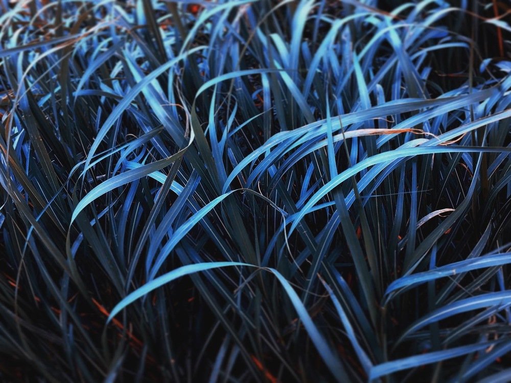 Photograph by Станислав Ситников