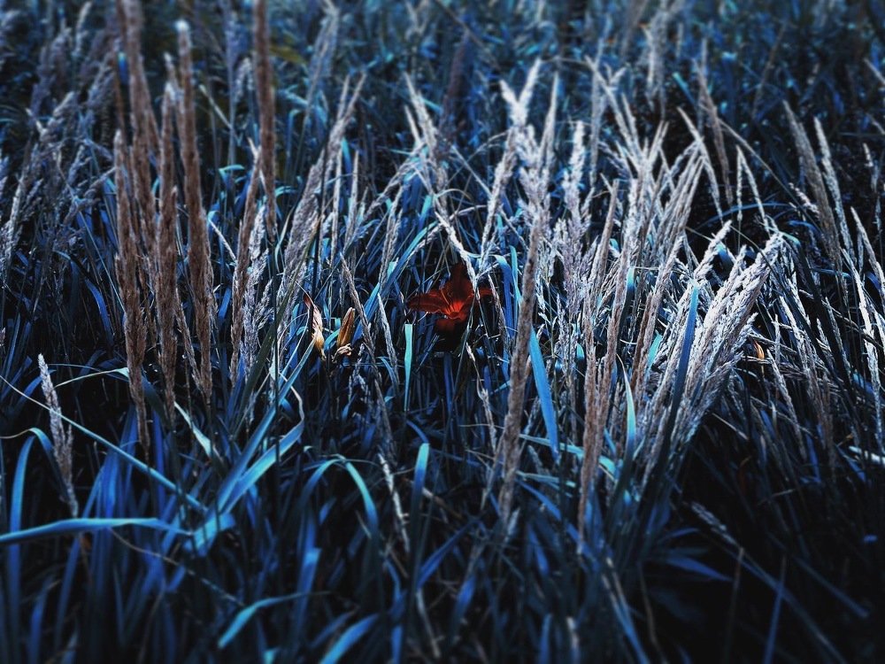 Photograph by Станислав Ситников