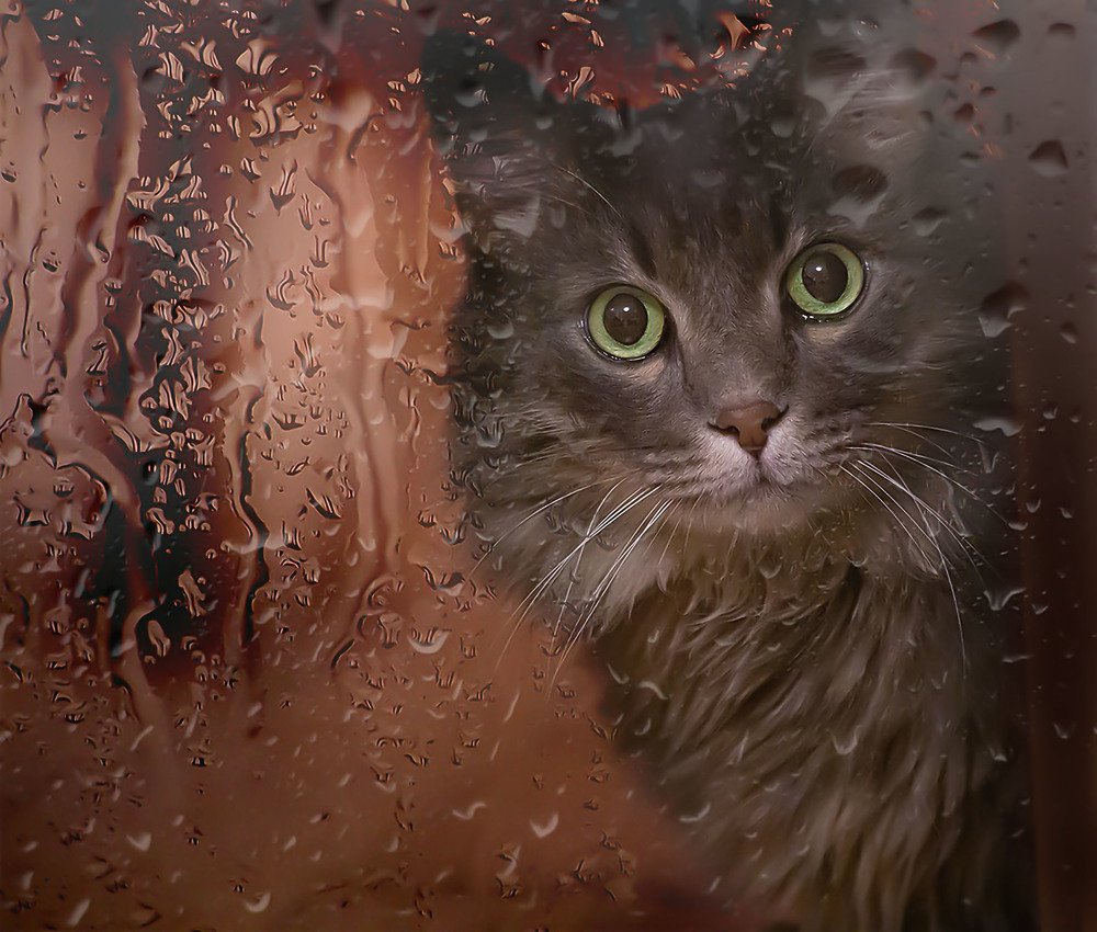 Photograph by Olga Kubareva