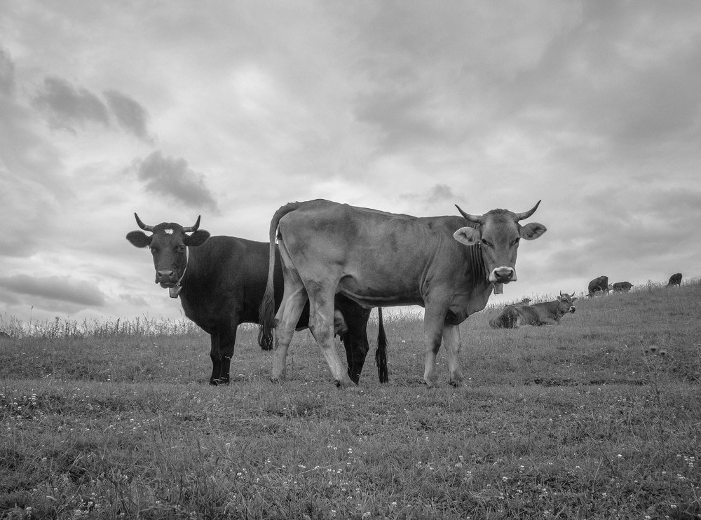 Photograph by Asia Amber