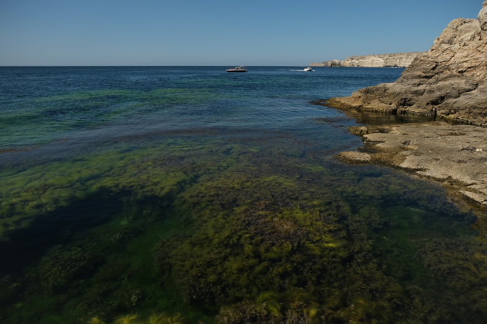 Фотография автора Марина Савчиц