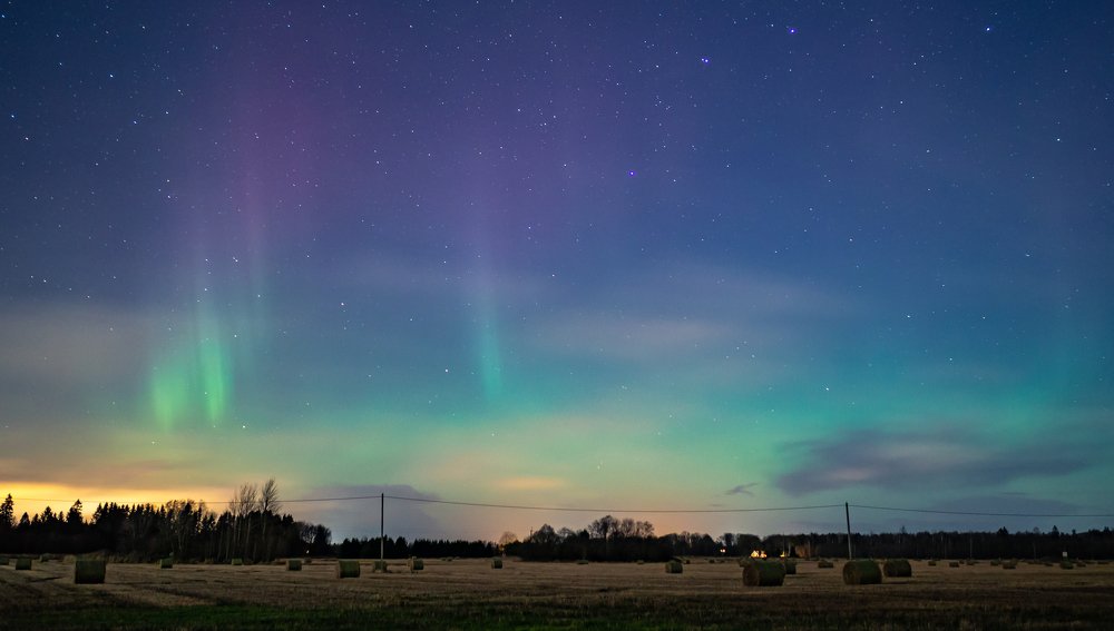 Photograph by Ольга Линк