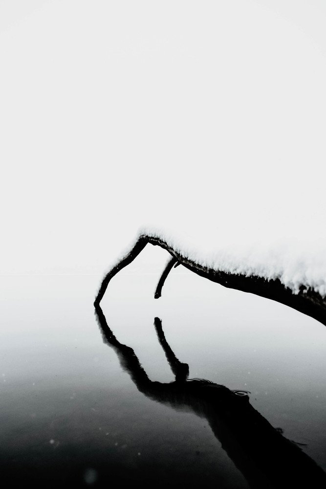 Photograph by Артём Куликов