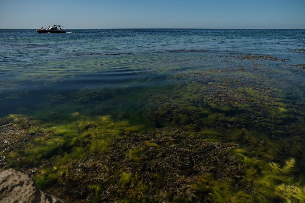Фотография автора Марина Савчиц