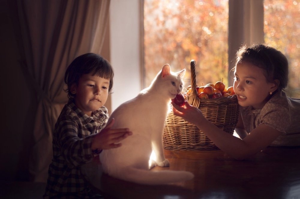 Вкус детства