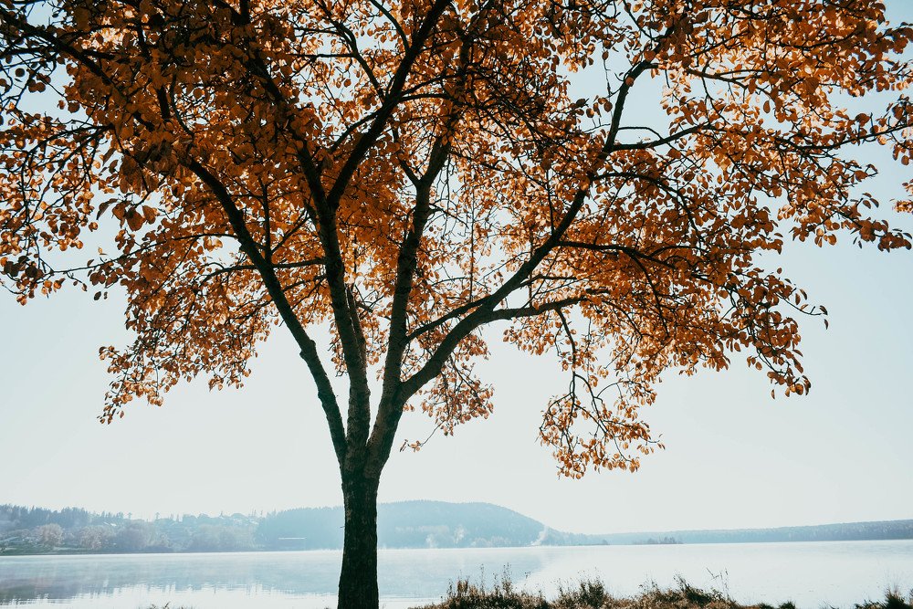 Photograph by Артём Куликов