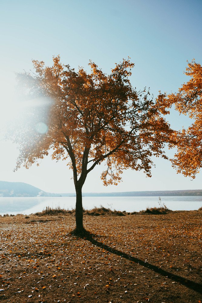 Photograph by Артём Куликов