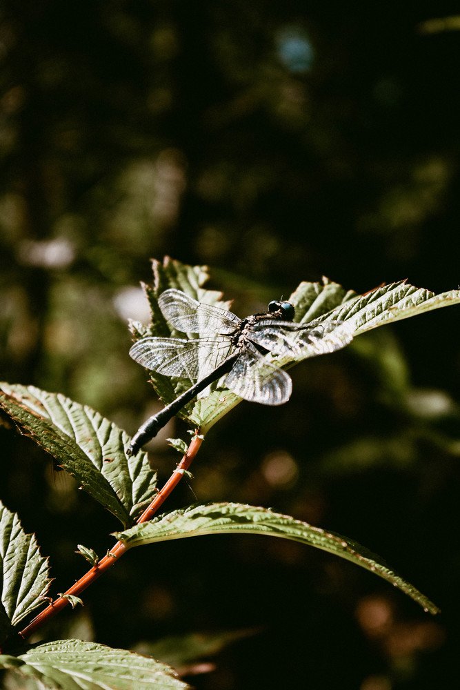 Photograph by Артём Куликов