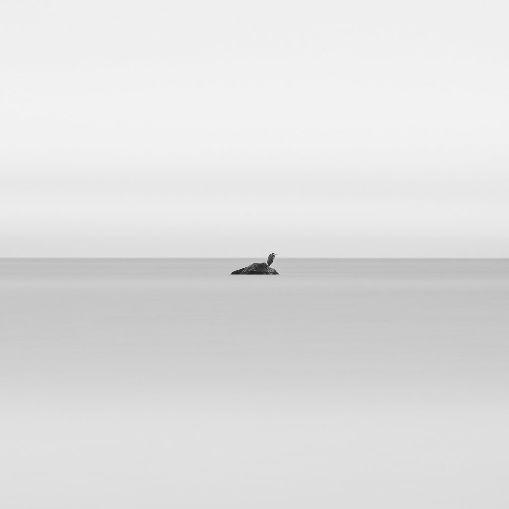 Photograph by Александр Абросимов