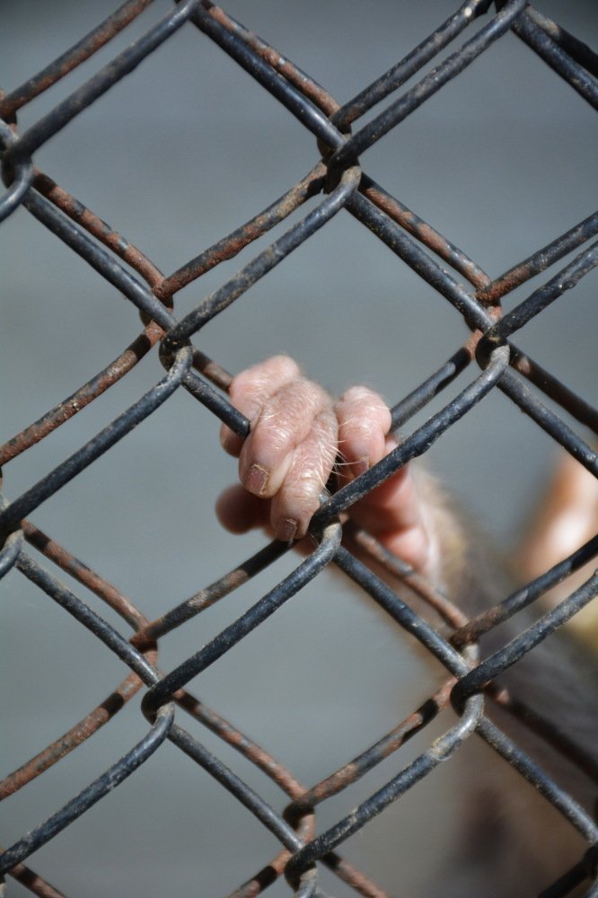 Photograph by Ольга Вячеславовна