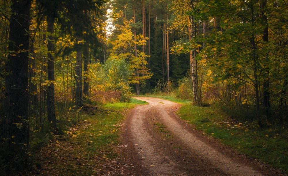 Photograph by Mark Keerd