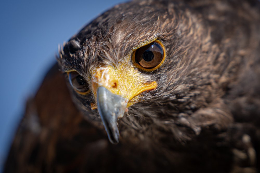 Photograph by Klaus Tesching