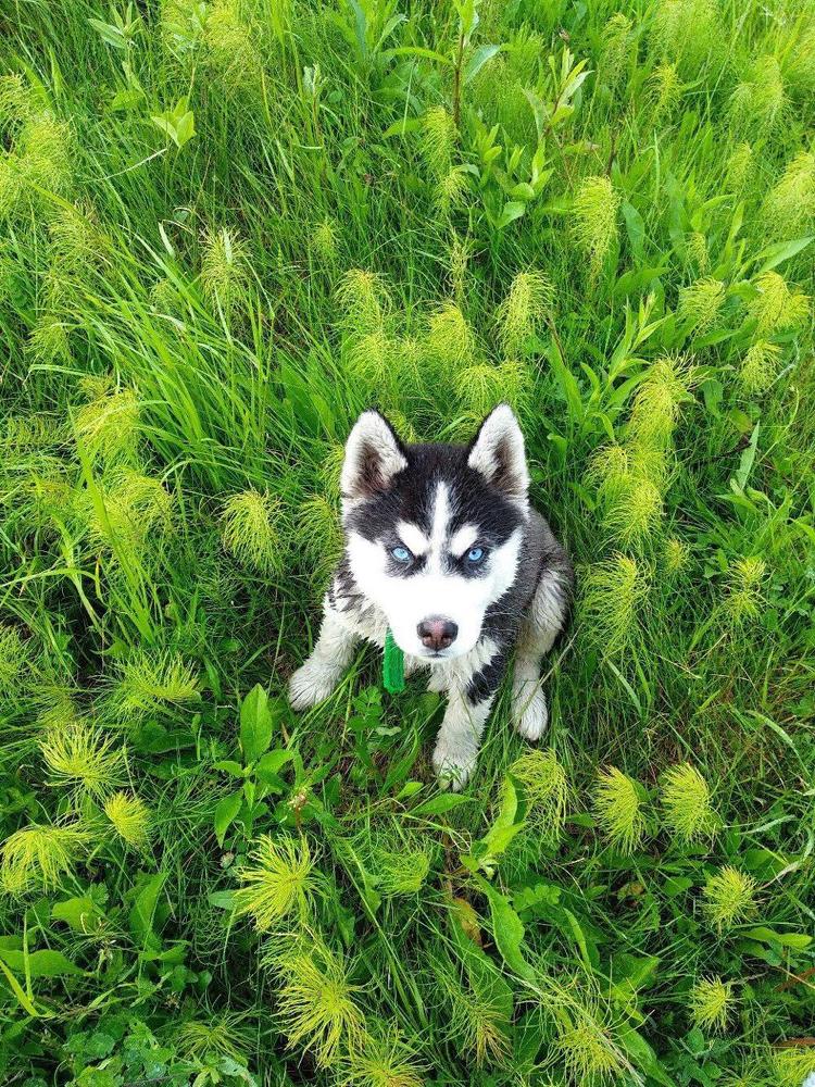 Photograph by Екатерина Раевская