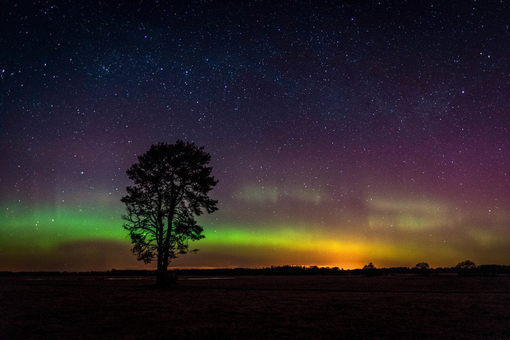 Photograph by Mark Keerd