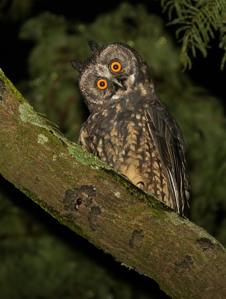 Photograph by Eduardo Di Fiore