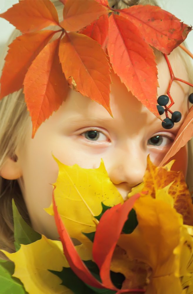 Photograph by Olga S