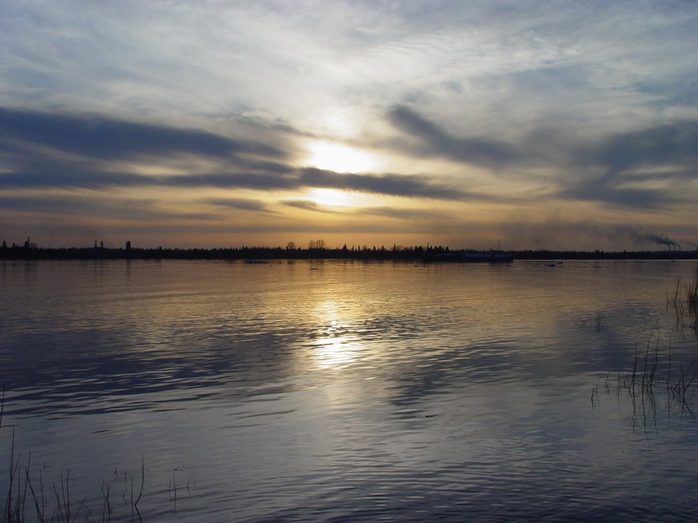 Photo #5288258
