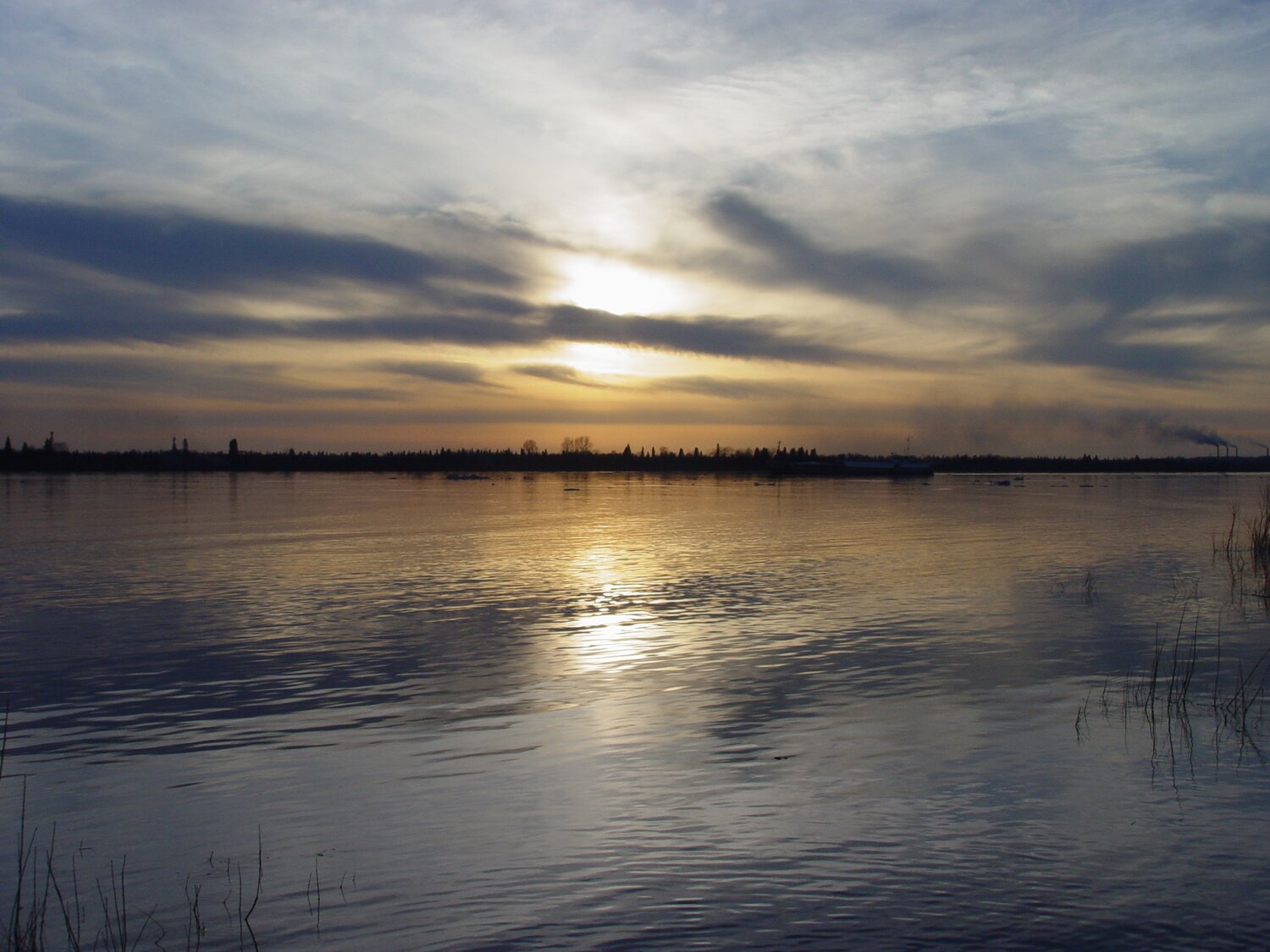 Photo #5288258