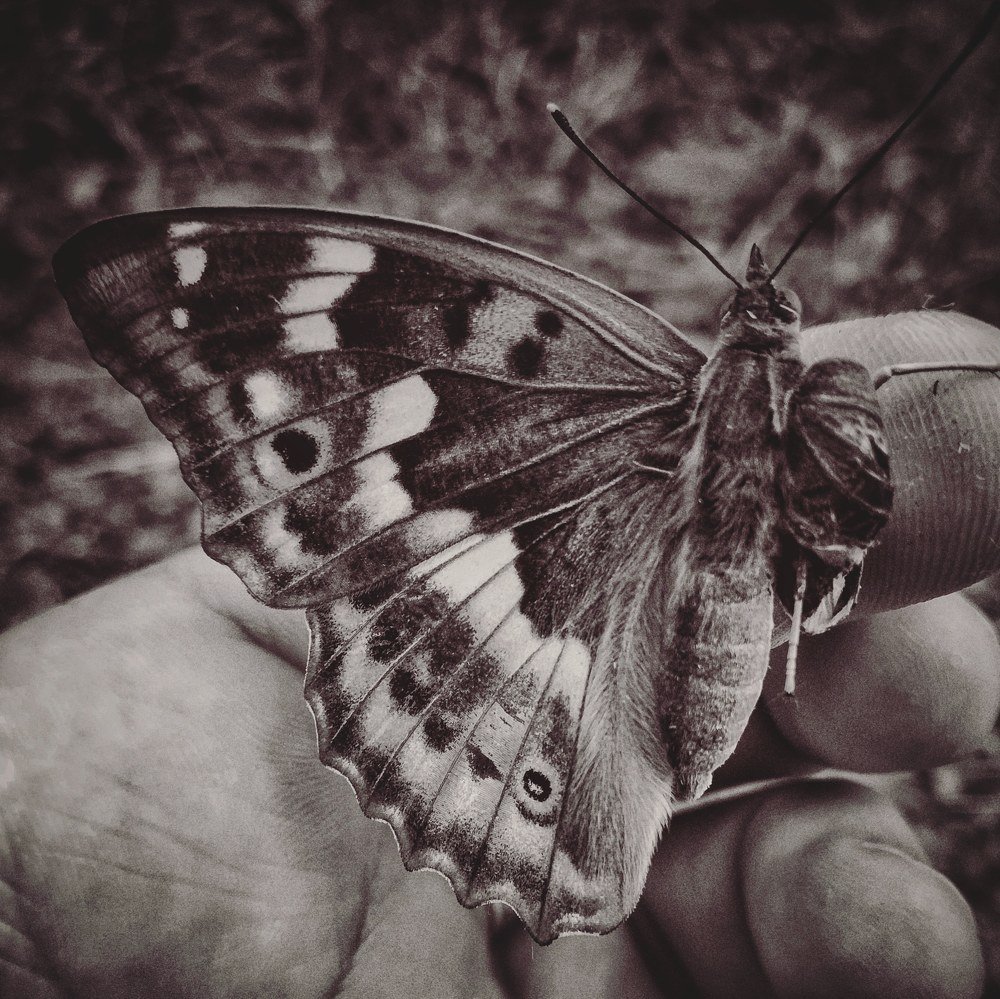 Photograph by Владимир Плотников