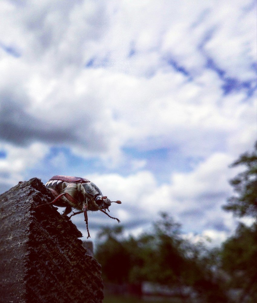 Photograph by Владимир Плотников