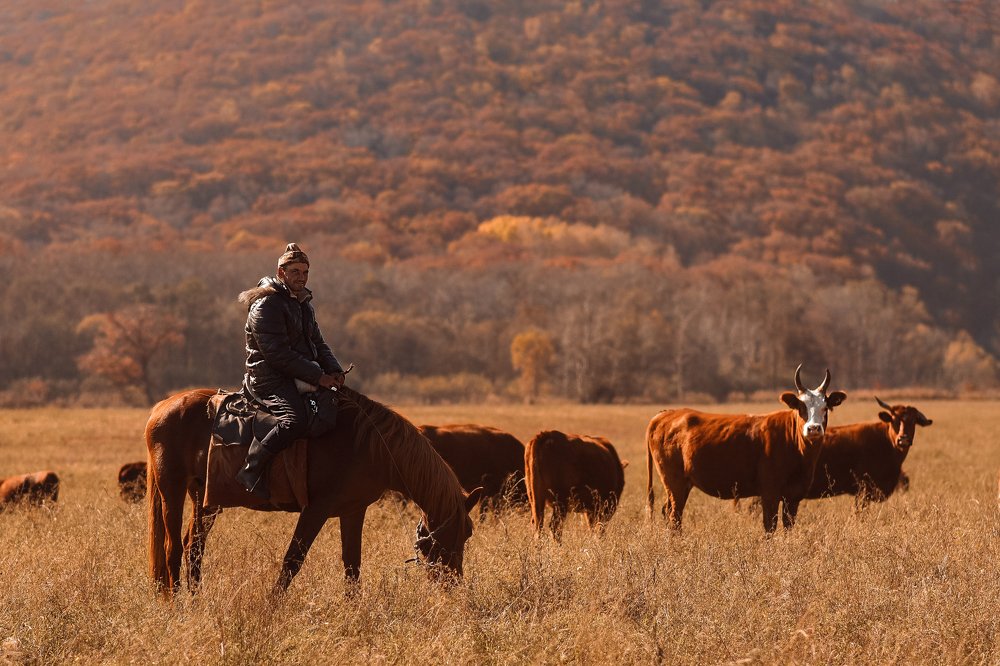 Photograph by Елена Баштовая