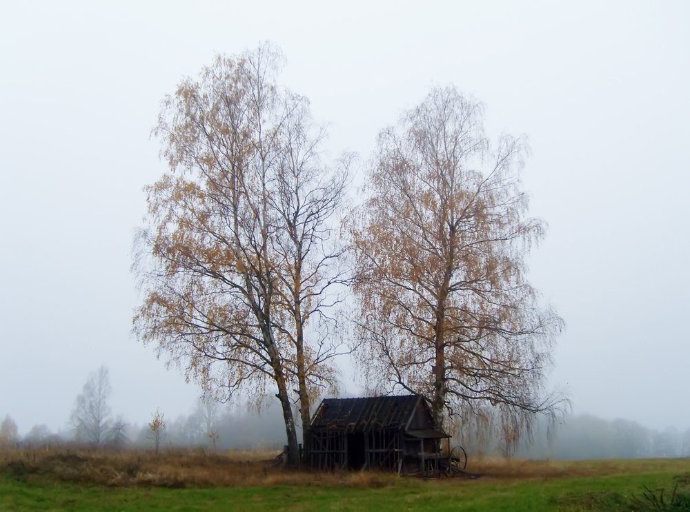 Photograph by Olga S