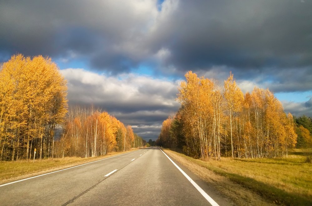 Photograph by Olga S