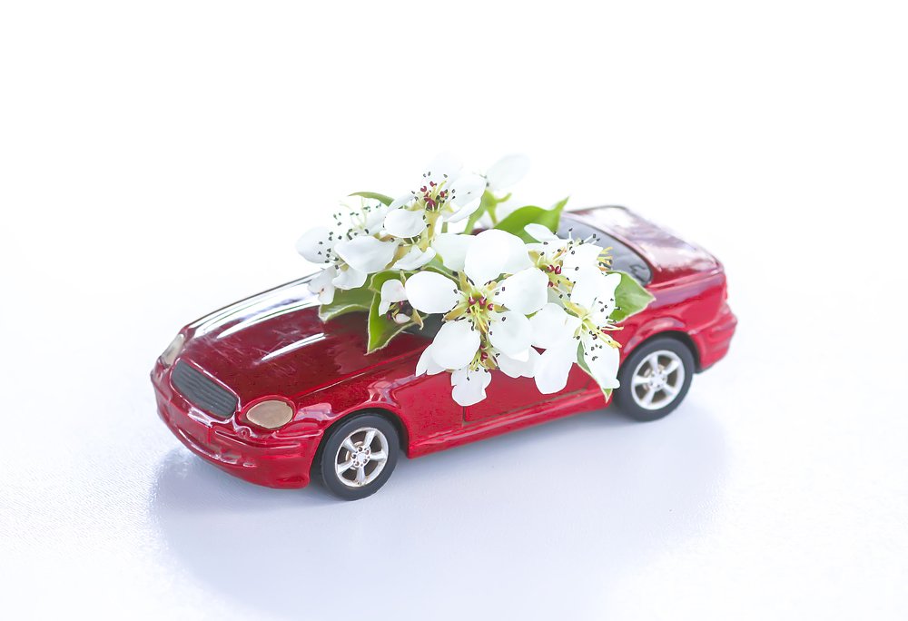 Photograph by Olga S