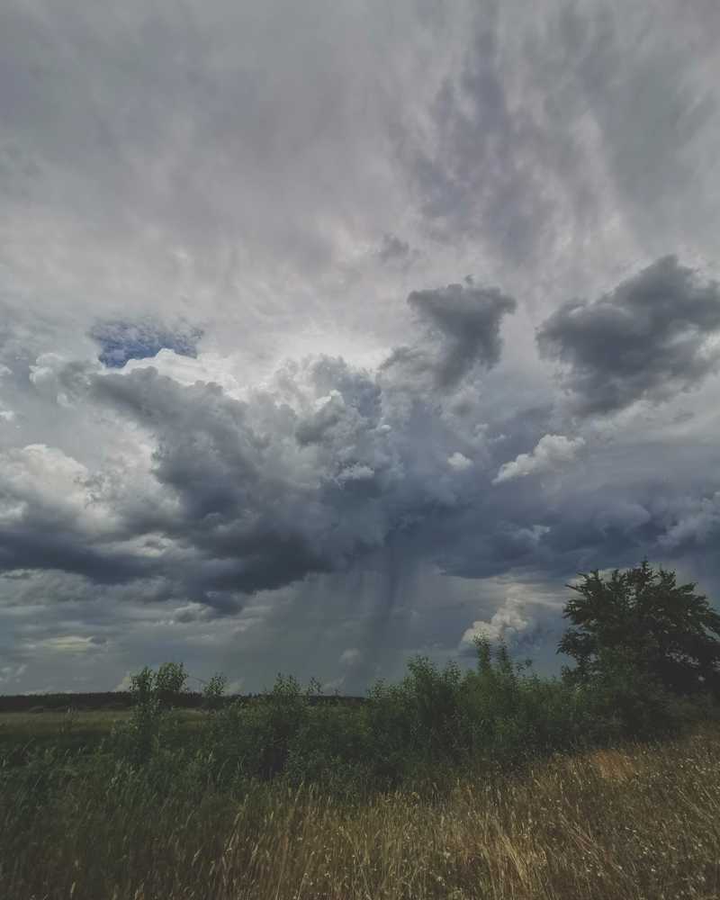 Перед дождём