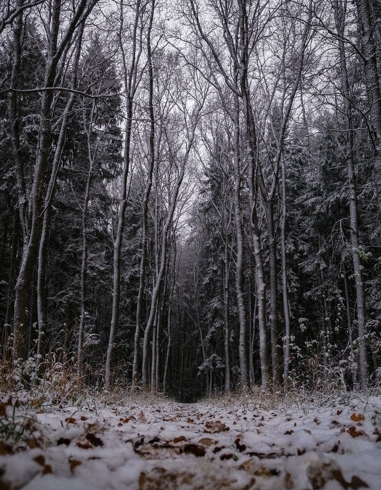 Photograph by Илья Гореньков